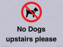 no-dogs-upstairs-please-~